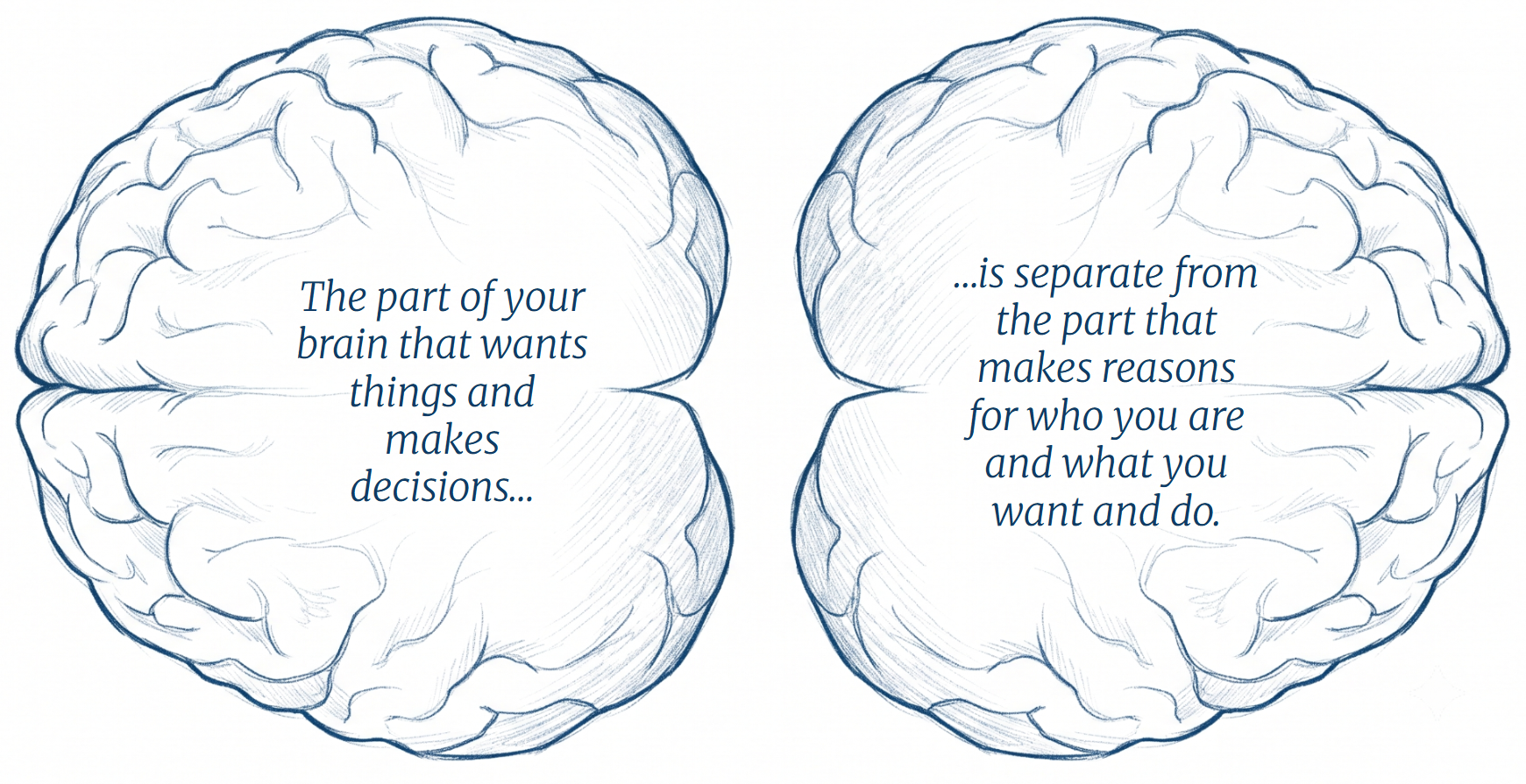 Introductory Graphic 1